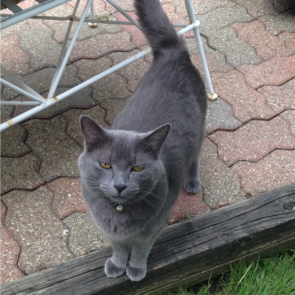 Meet your Posher, Debi - Picture 10 of 12